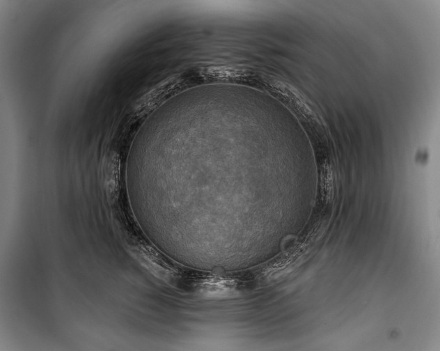 X0000101160760200806271009