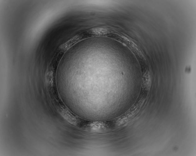 X0000101160762200806271009
