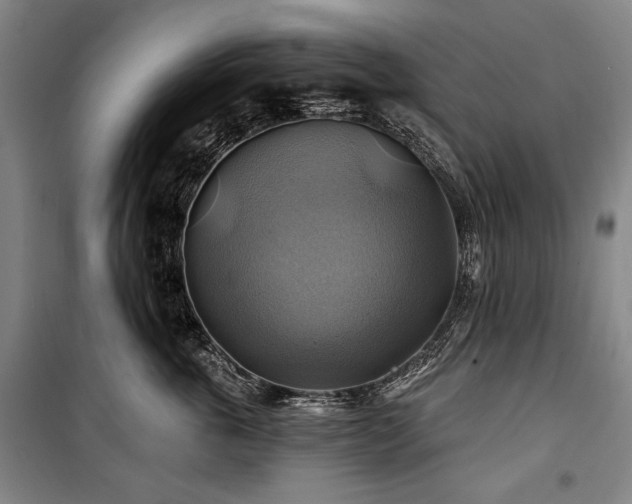 X0000101160763200806271009