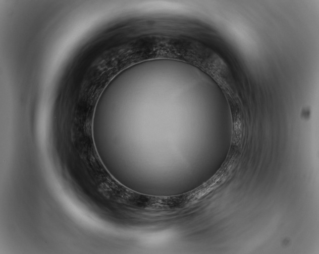 X0000101160765200806271009