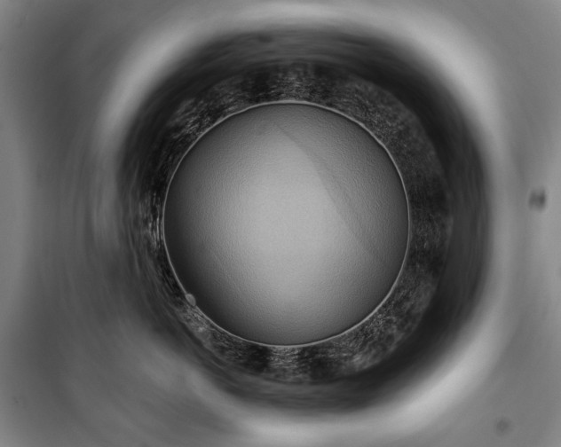 X0000101160766200806271009