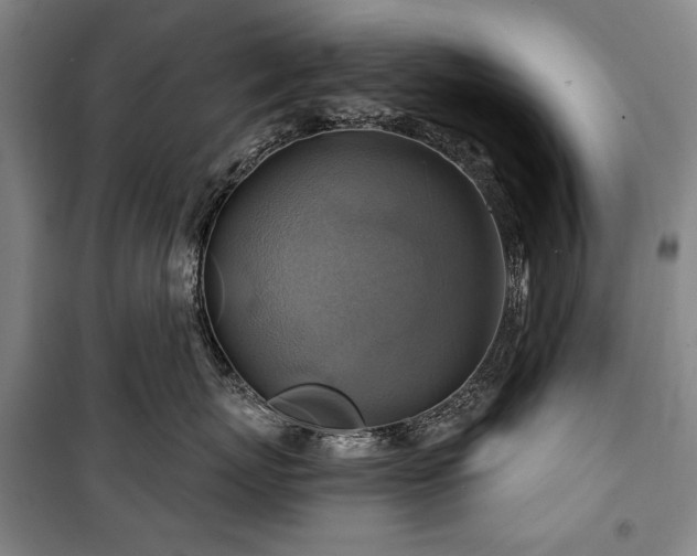 X0000101160767200806271009