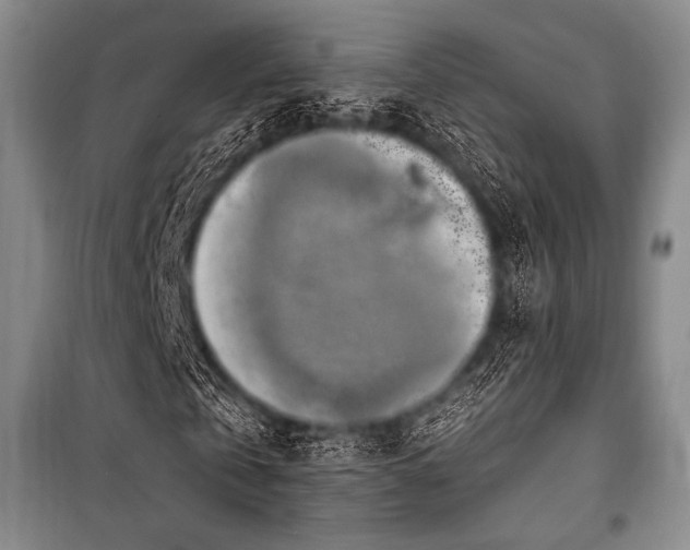 X0000101160769200806271009