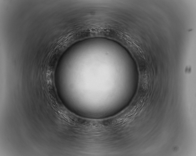 X0000101160770200806271009