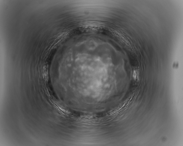 X0000101160771200806271009