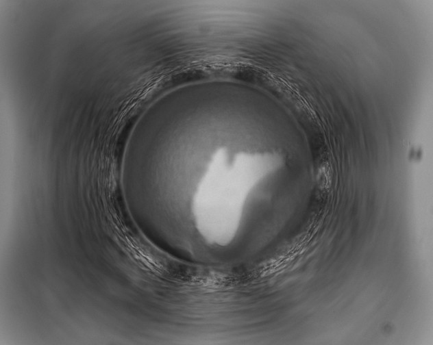 X0000101160772200806271009