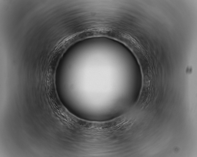 X0000101160773200806271009