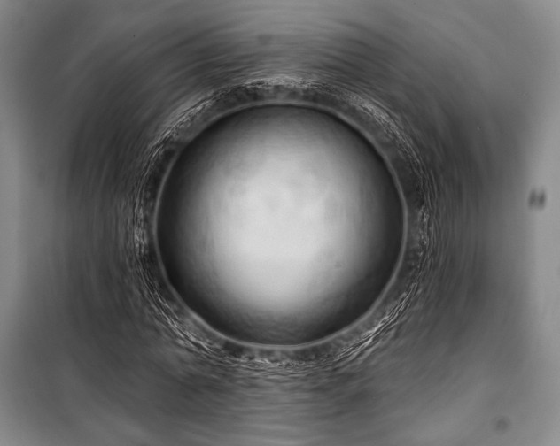 X0000101160774200806271009