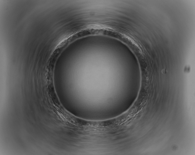 X0000101160775200806271008