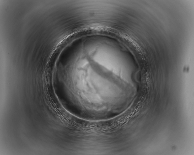 X0000101160776200806271008