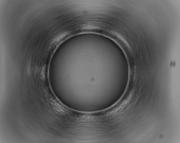 X0000101160777200806271008