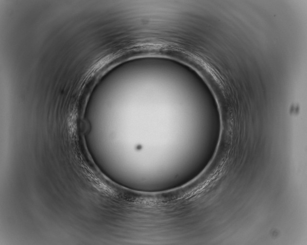 X0000101160778200806271008