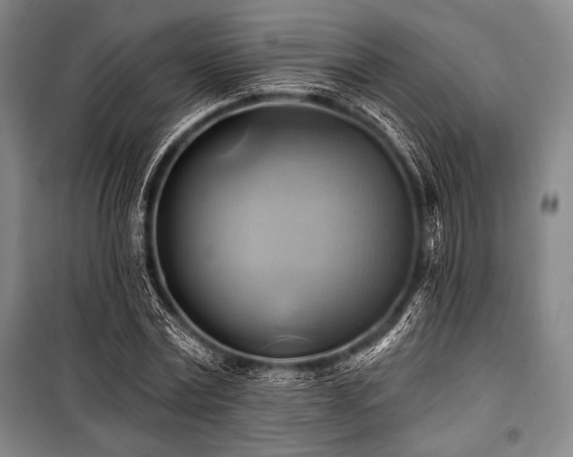 X0000101160779200806271008