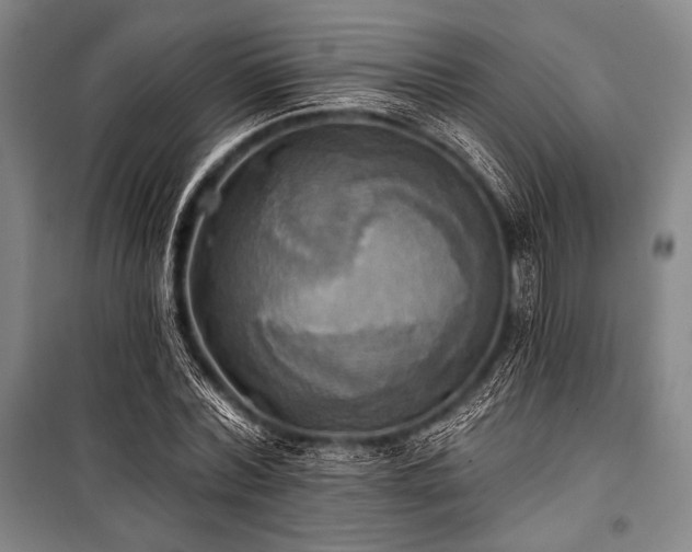 X0000101160780200806271008
