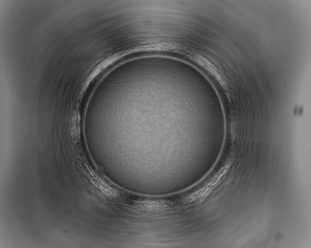X0000101160781200806271008