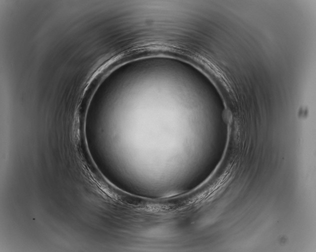 X0000101160782200806271008