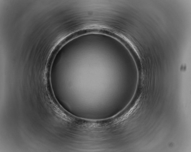 X0000101160783200806271008