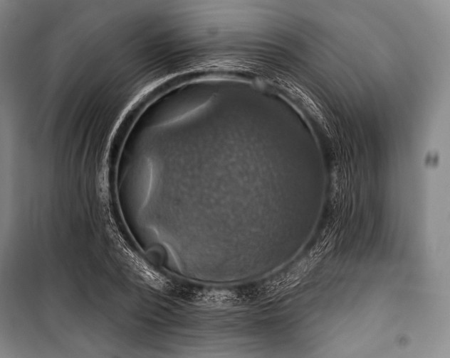 X0000101160784200806271008