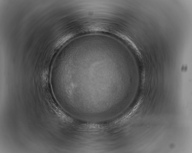 X0000101160785200806271008