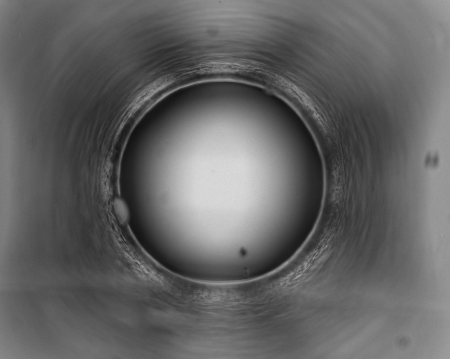 X0000101160786200806271008