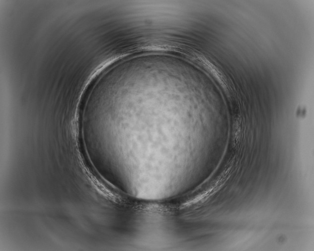 X0000101160787200806271008