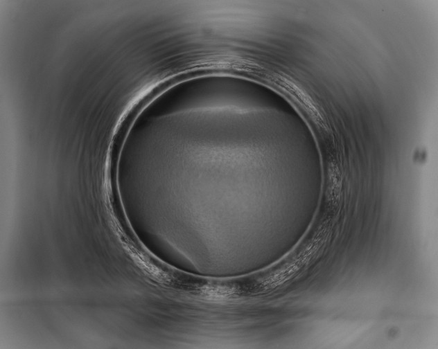 X0000101160788200806271008