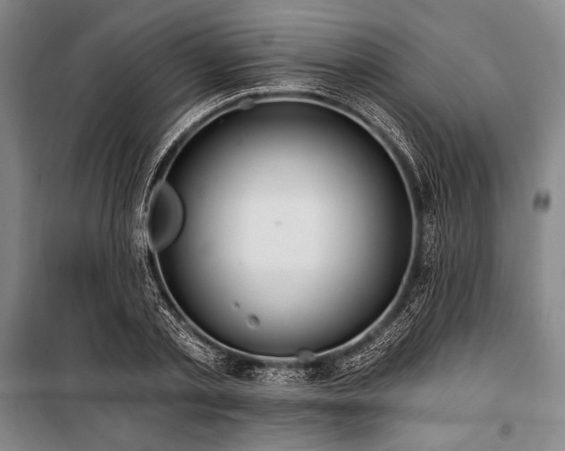 X0000101160789200806271008