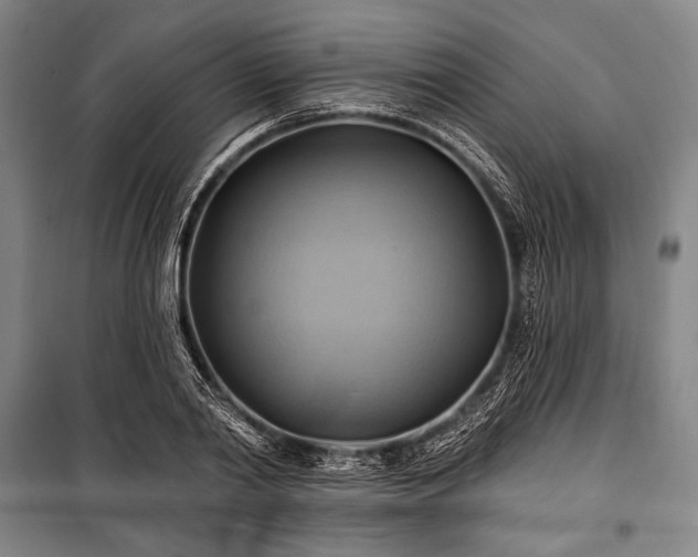 X0000101160790200806271008