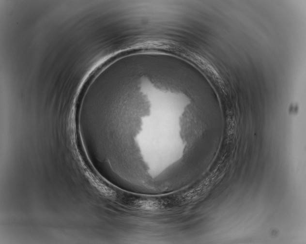 X0000101160792200806271008