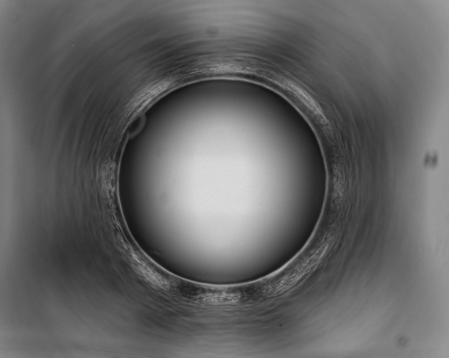 X0000101160793200806271008