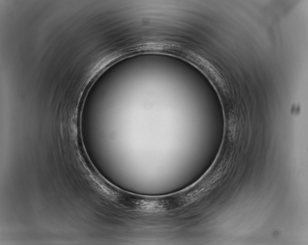 X0000101160794200806271008