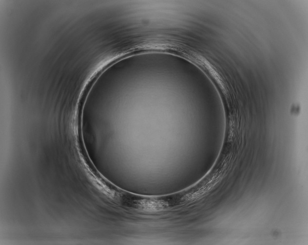 X0000101160795200806271008