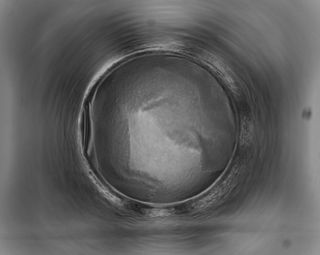 X0000101160796200806271008