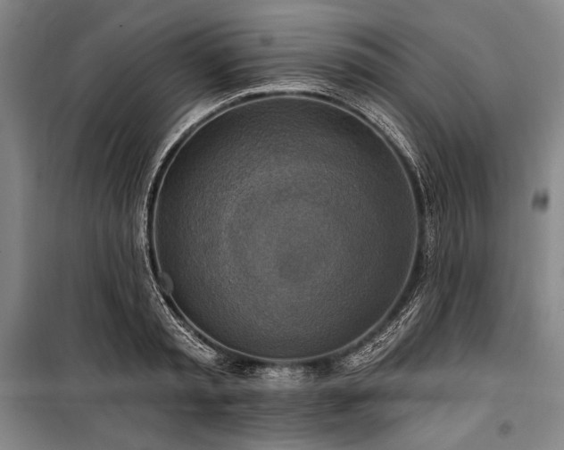 X0000101160797200806271008