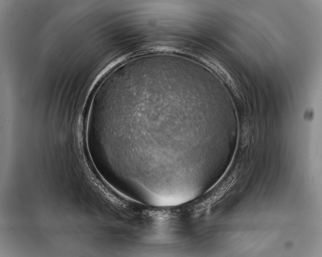X0000101160798200806271008