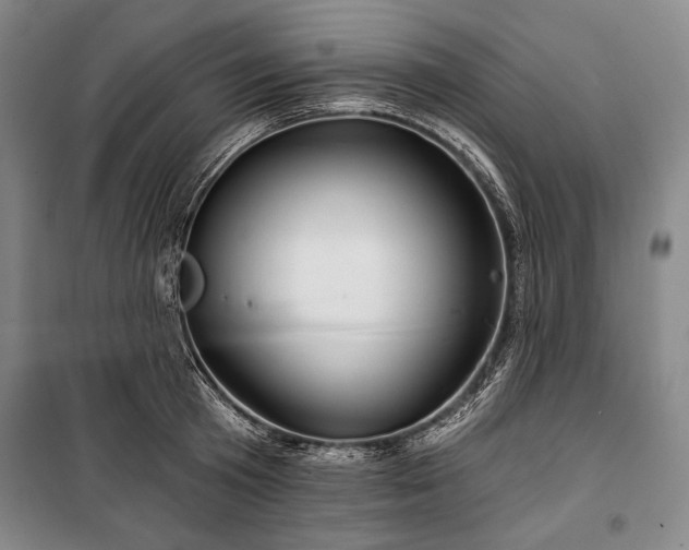 X0000101160801200806271008