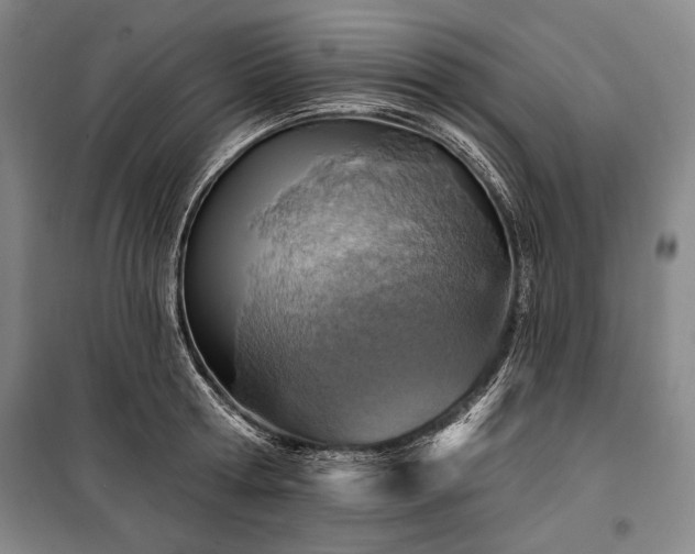 X0000101160802200806271008