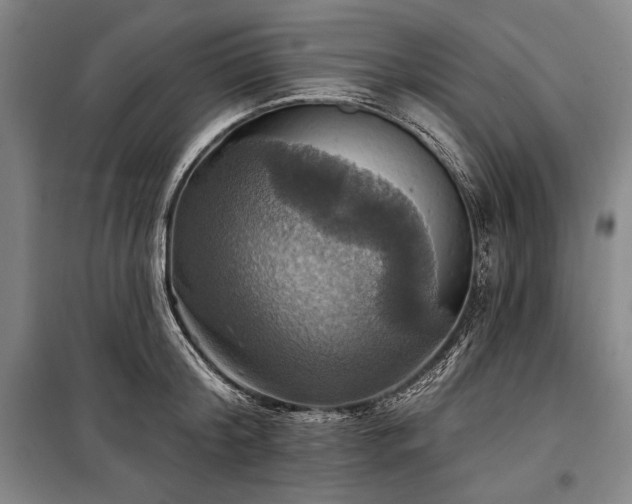 X0000101160804200806271008