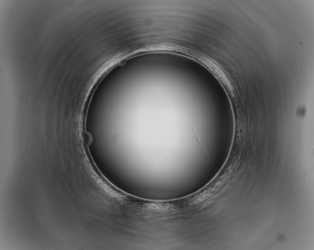 X0000101160805200806271008