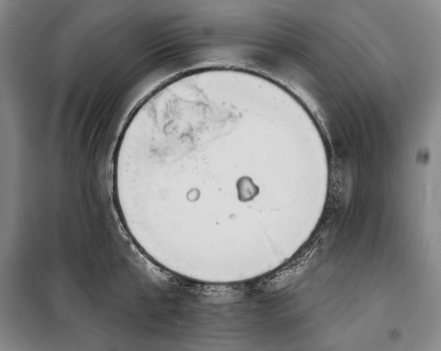 X0000101160807200806271008