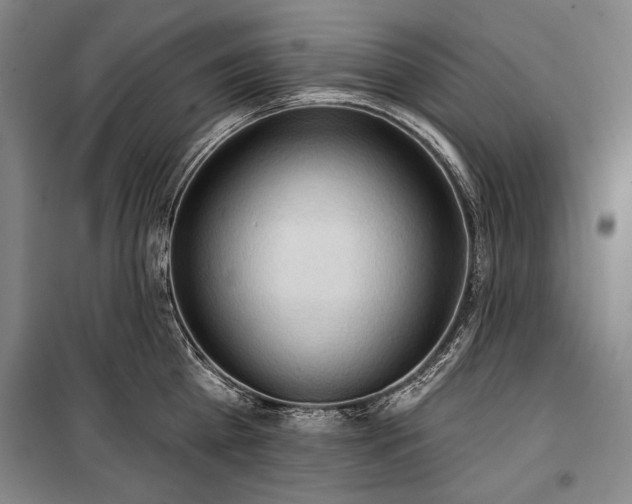 X0000101160809200806271008
