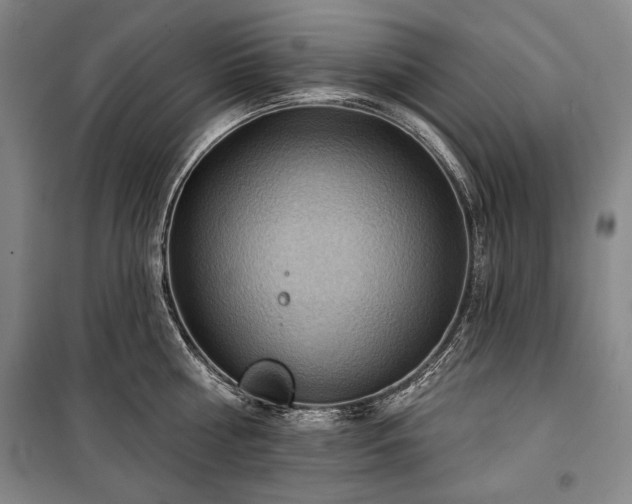 X0000101160810200806271008