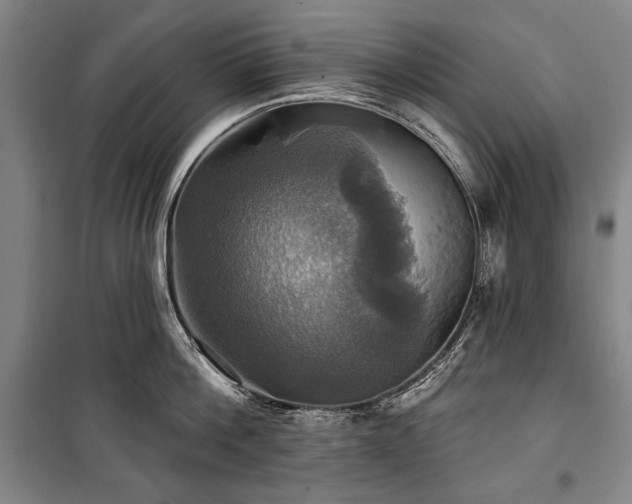 X0000101160812200806271008