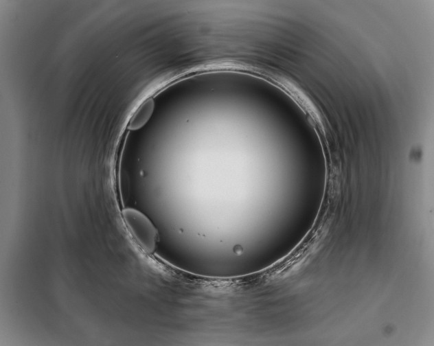 X0000101160813200806271008