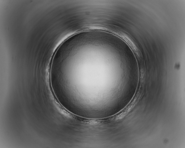 X0000101160814200806271008