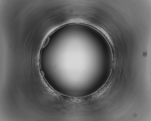 X0000101160815200806271008