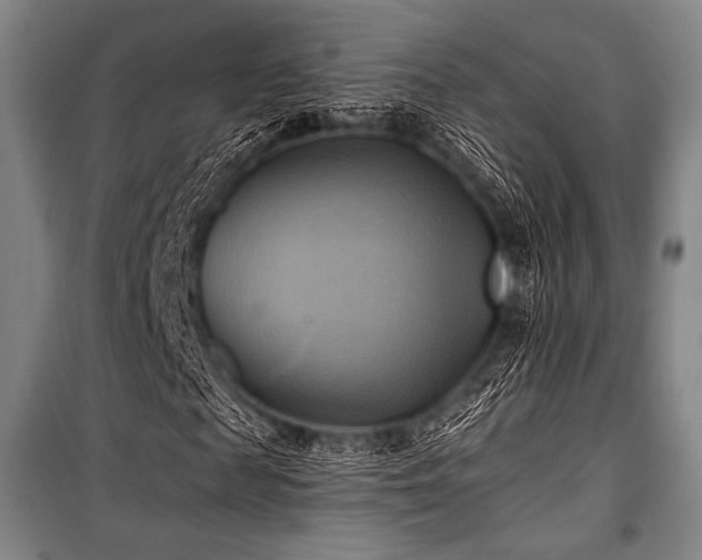 X0000101160817200806271007