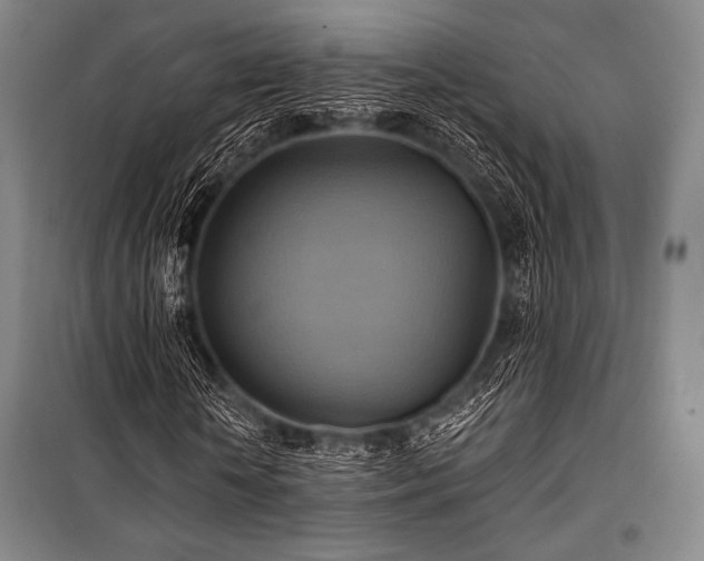 X0000101160818200806271007