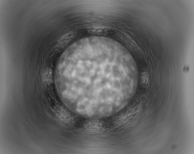 X0000101160820200806271007