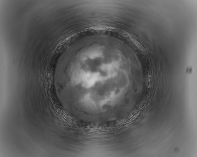 X0000101160821200806271007